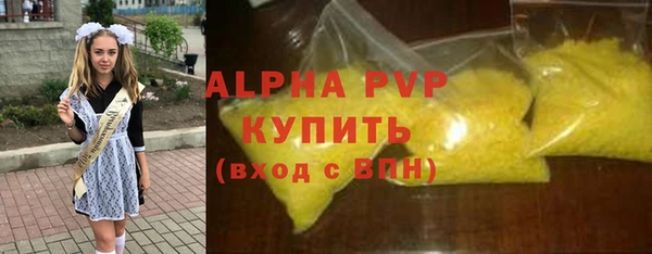 индика Алексин