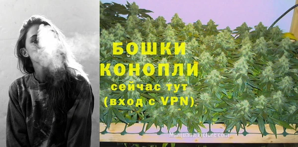 дмт Покровск
