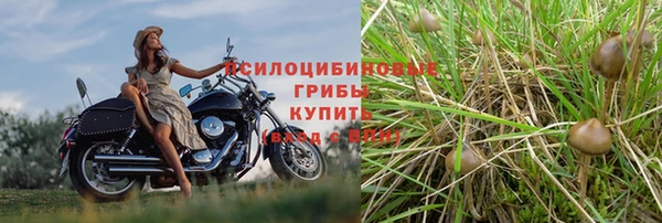 а пвп мука Алзамай