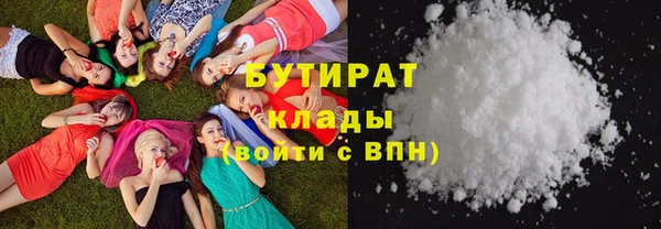 индика Алексин