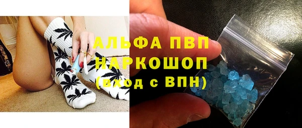 индика Алексин