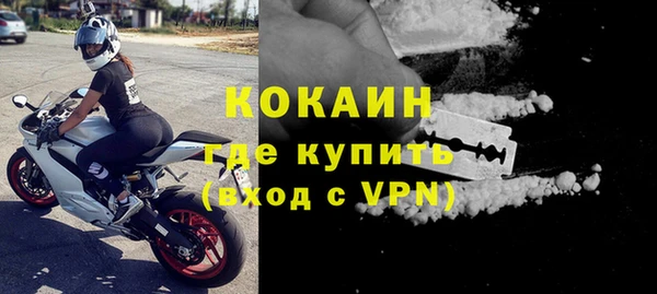 индика Алексин